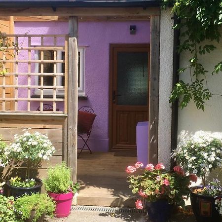 Cute Self-Contained Guest Room With Ensuite And Private Decked Porch In Glastonbury Eksteriør billede