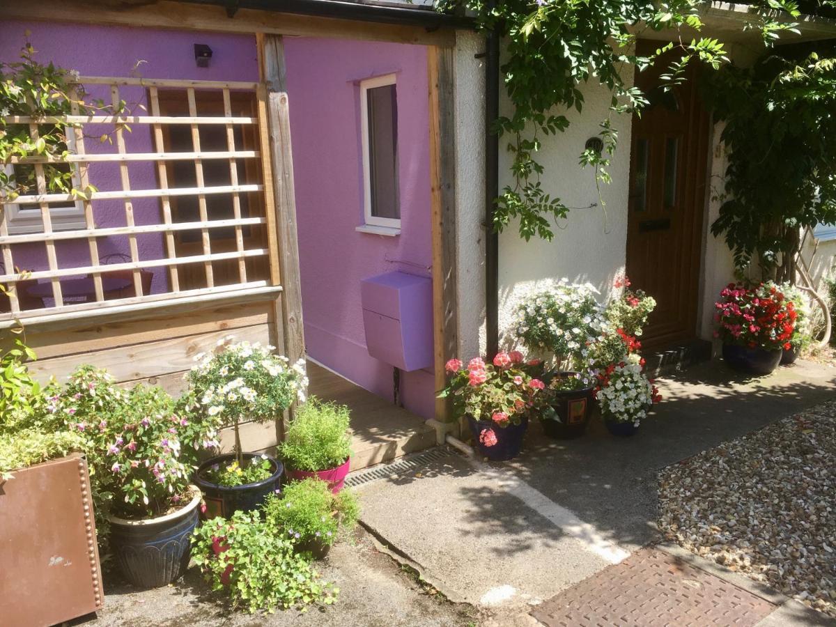 Cute Self-Contained Guest Room With Ensuite And Private Decked Porch In Glastonbury Eksteriør billede